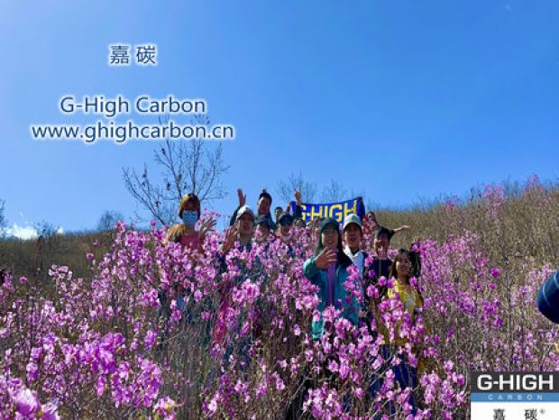 山野映山紅遍，嘉碳不負(fù)春光