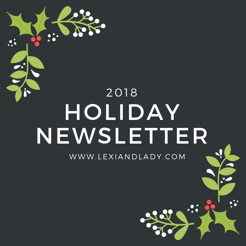 2018 Holiday Newsletter